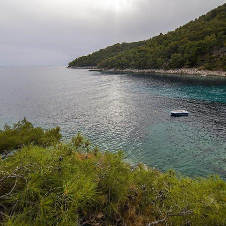 Secluded Fisherman'S Cottage Cove Skozanje, Hvar - 4009 Gdinj 외부 사진